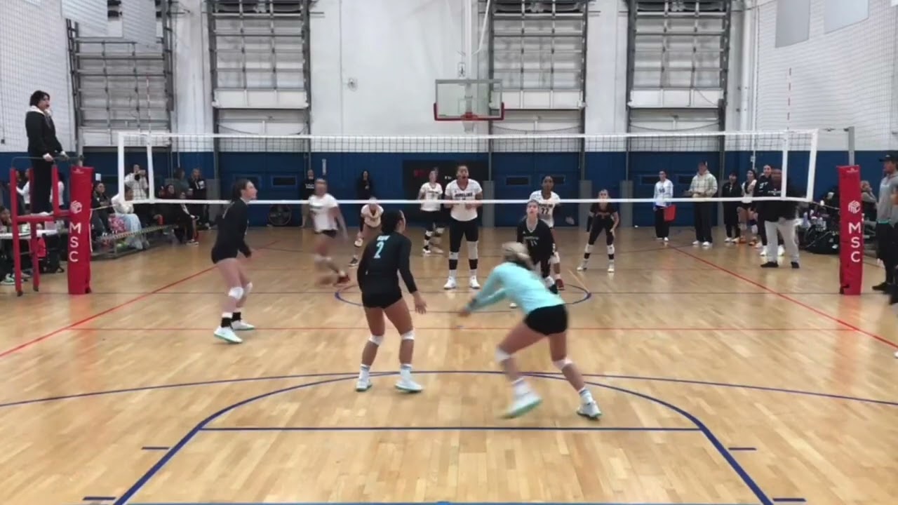 Kate Schneider, Libero 2026, WAVE 16-Nancy: SCVA Tournament (1/6-7/2024)