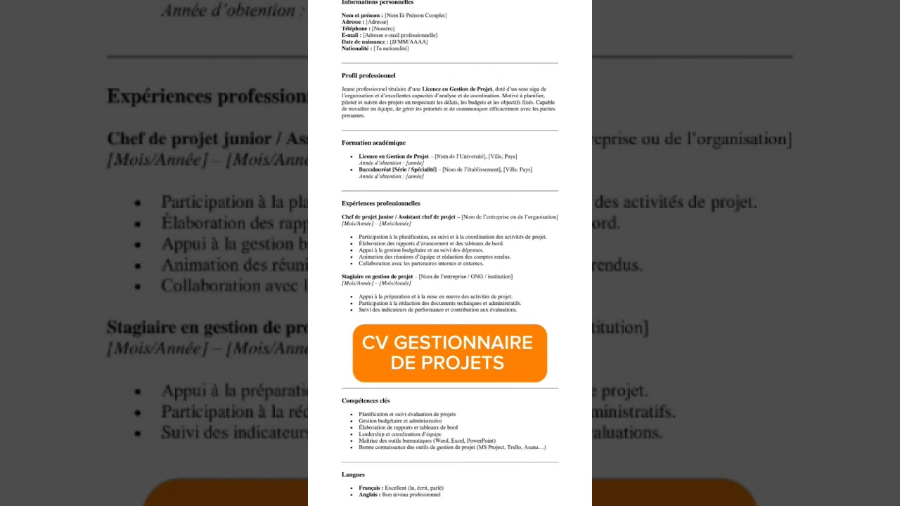 CV PROFESSIONNEL POUR GESTIONNAIRE DE PROJETS 
