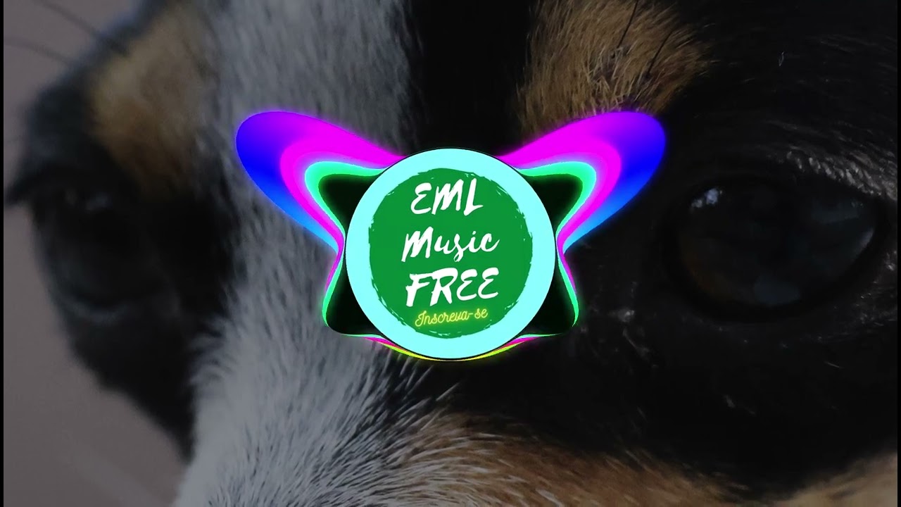 Zeli - Sharks (ncs 2023)