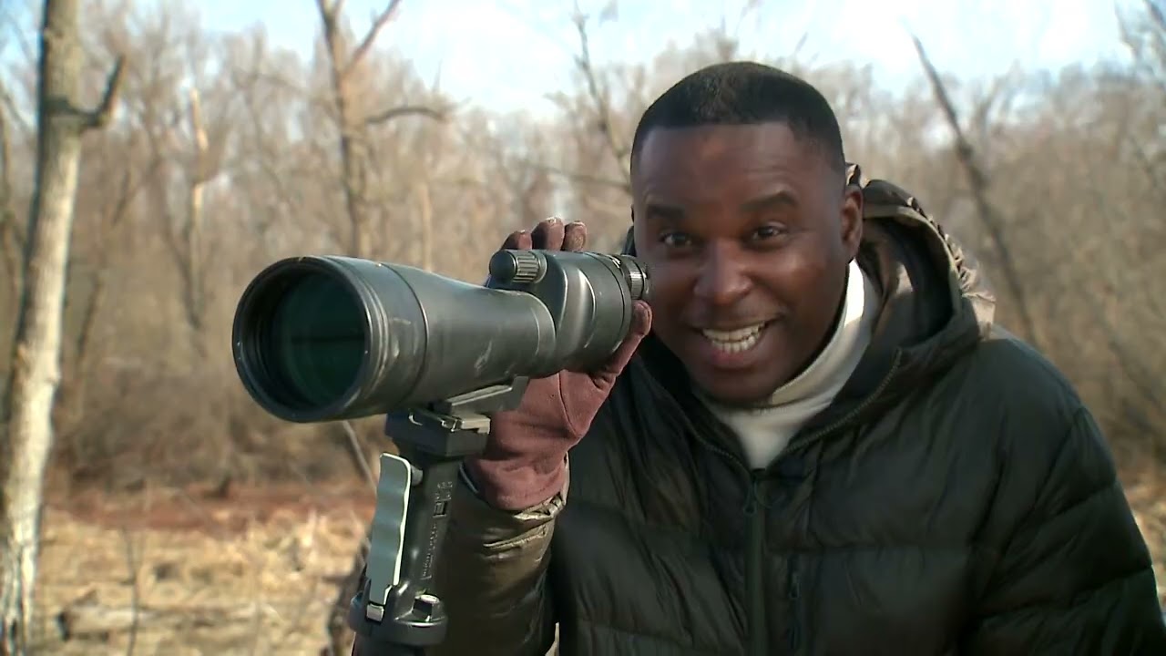 PKG - BALD EAGLES DAYS, 01.15.2026