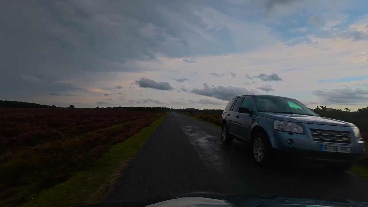 Riding through the Forest