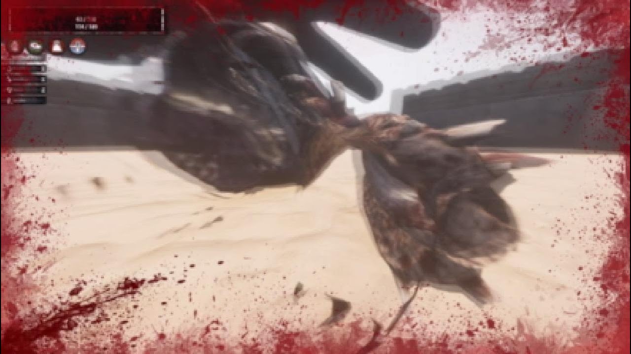 Eu arena pvp en 1 eme personne et en normal