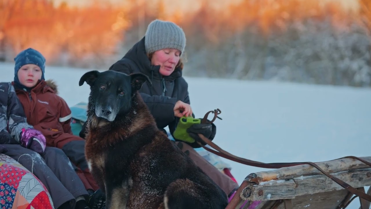 Juurimaa winter 2025.