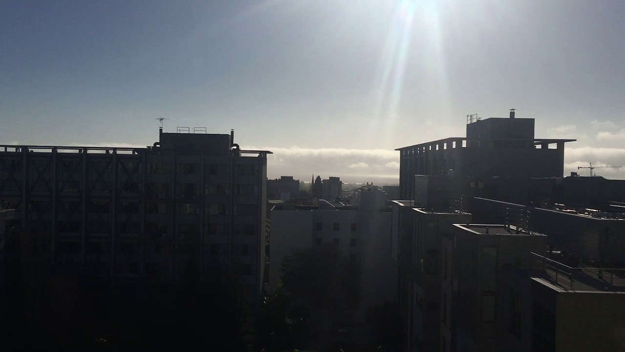 UC Berkeley Dorm Tour | FREEBORN Unit 1 Double 2019