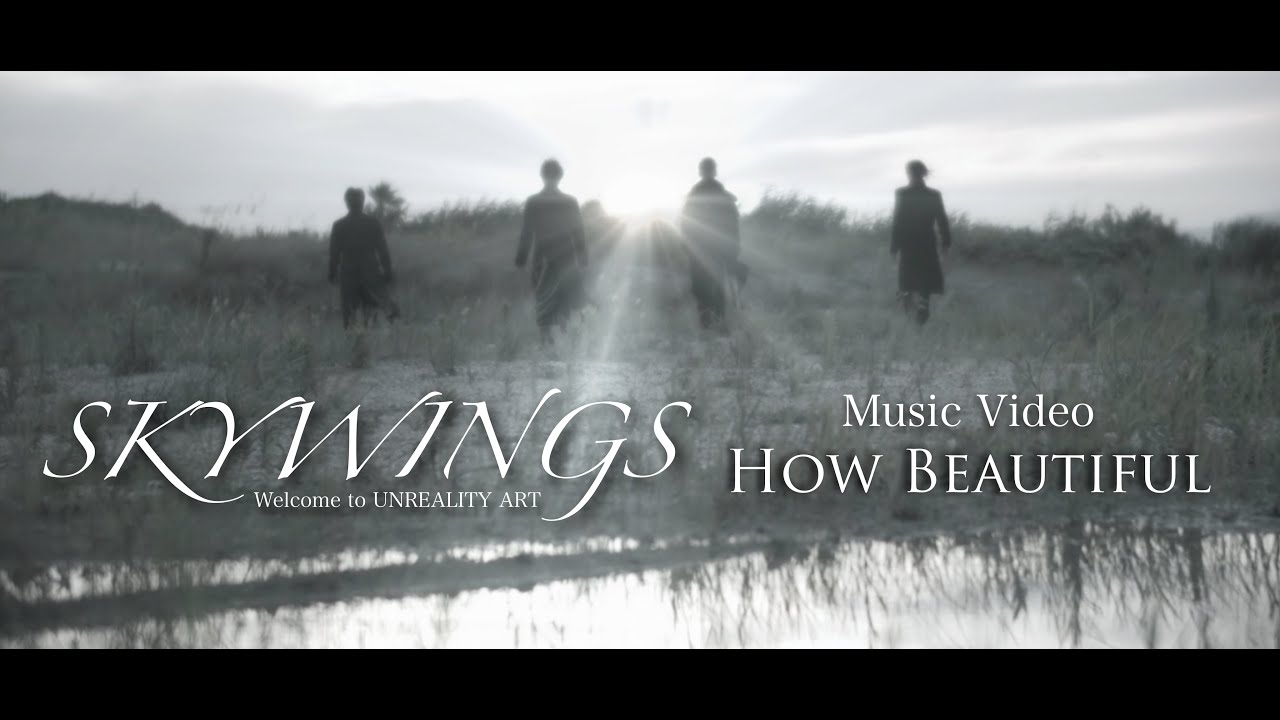 SKYWINGS「How Beautiful」Official Music Video