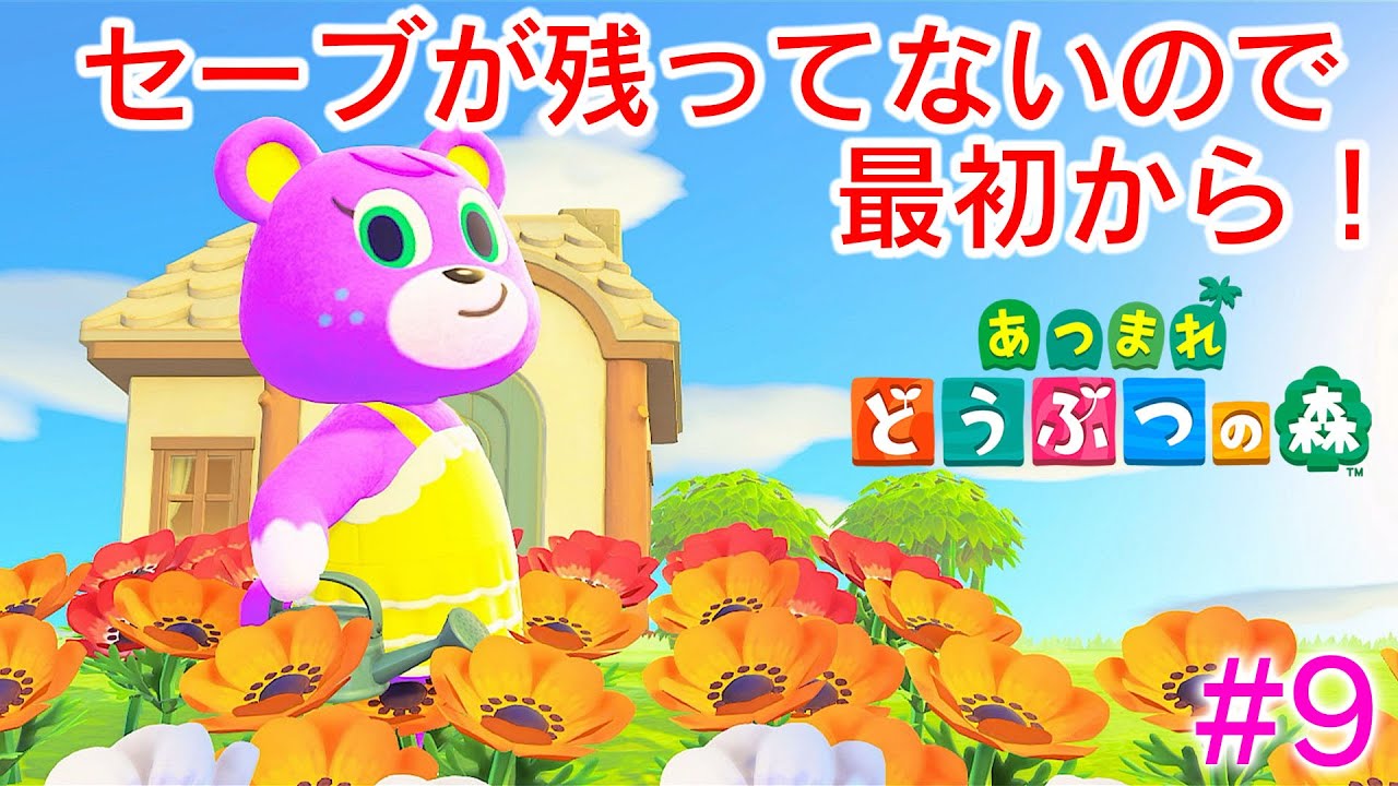 最初から始めるあつ森生活#9 【あつまれどうぶつの森】