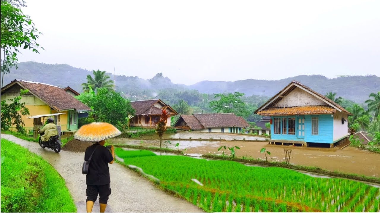 SYAHDU 🌨️ Hujan Turun Di Pedesaan Jawa Barat, Hawanya Adem Seperti Di Himalaya, Bikin Betah Suasana.