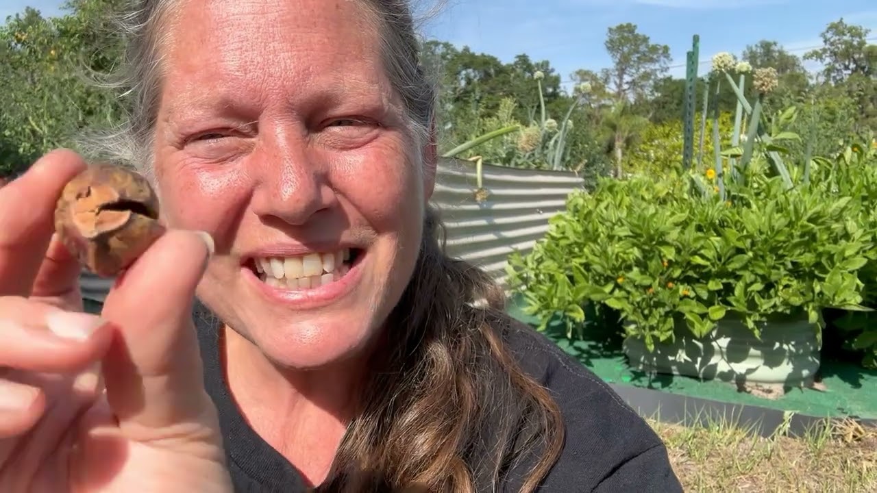 Goodbye Shampoo: Embracing Natural Hair Care