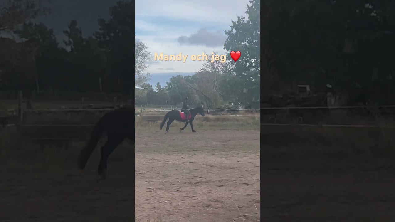 Galopperar på Mandy och förlåt för dålig uppdatering men har haft mycket läxor ❤️🌸😊❤️🌸😊