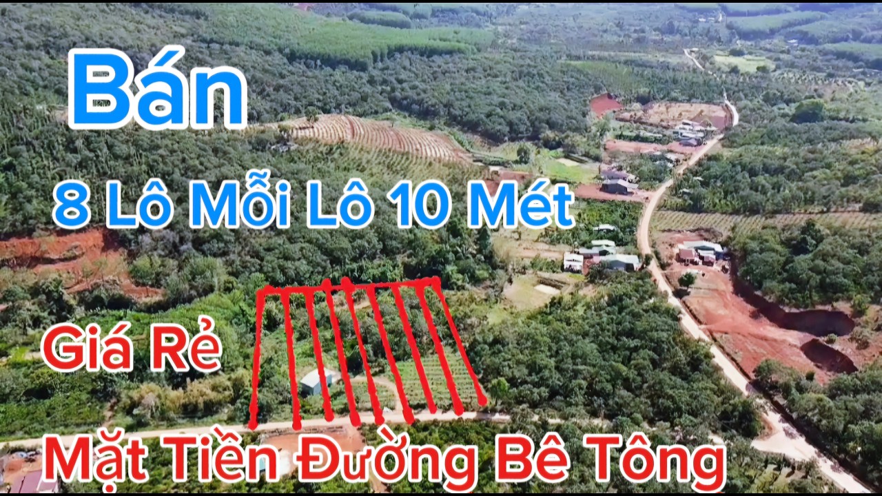 Bán 8 Lô Đất Nền Mỗi Lô 10 Mét  Dài 75  Mét Mặt Đường Bê Tông Dân Cư Đông.Giá 290 Triệu/ 1 Lô.