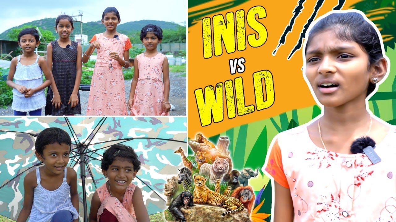 Inis Vs Wild 🦁 I Jungle Safari 🦥 I Inis Galataas