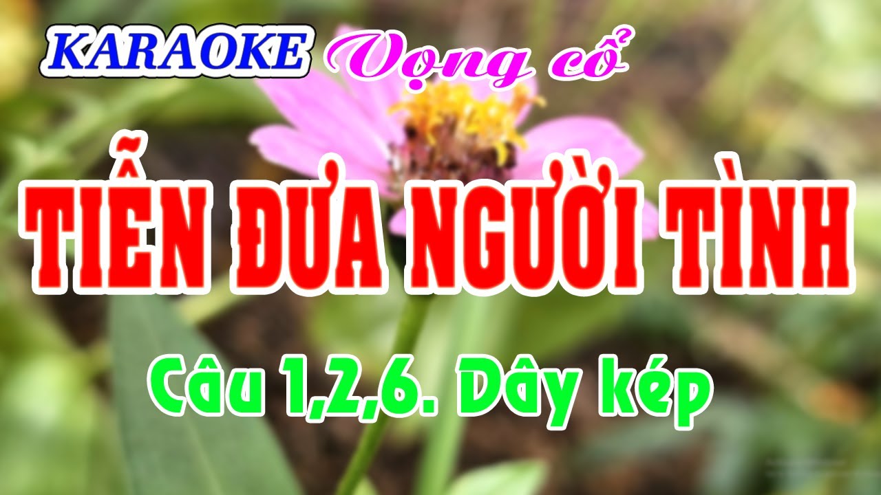 Karaoke  _ Tiễn Đưa Người Tình _  Dây Kép