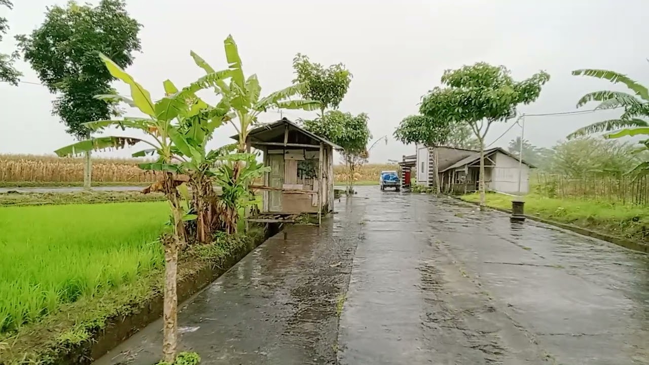 drizzling rain poured down on my beautiful village