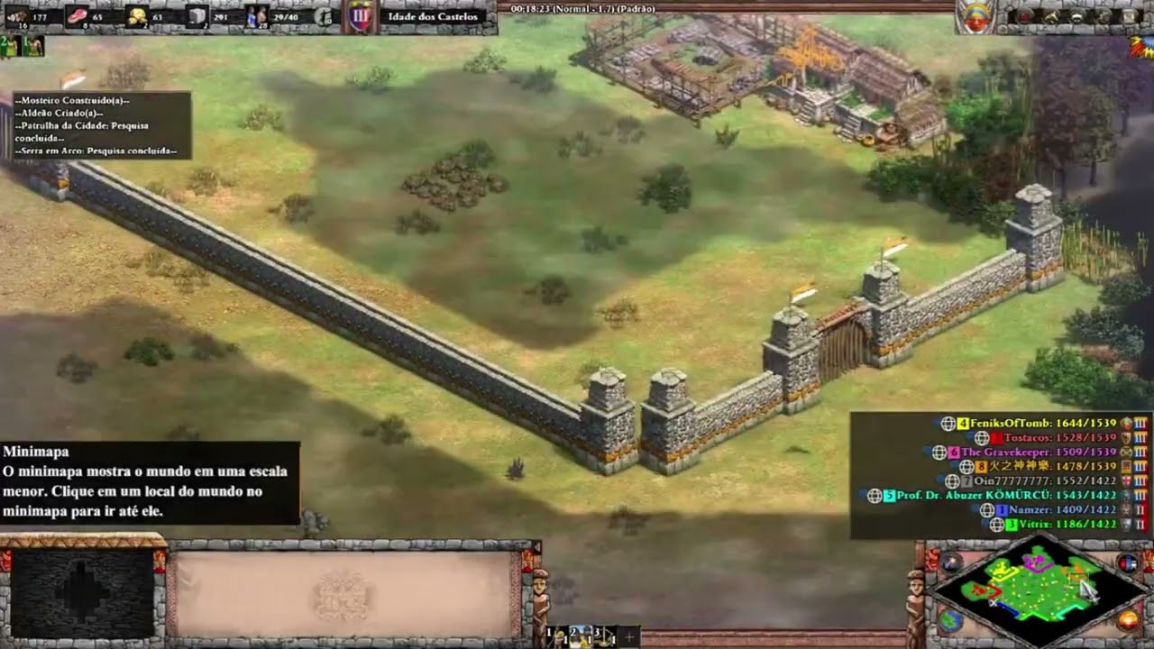 AOE2 | 4v4 Arena | Muisca #3