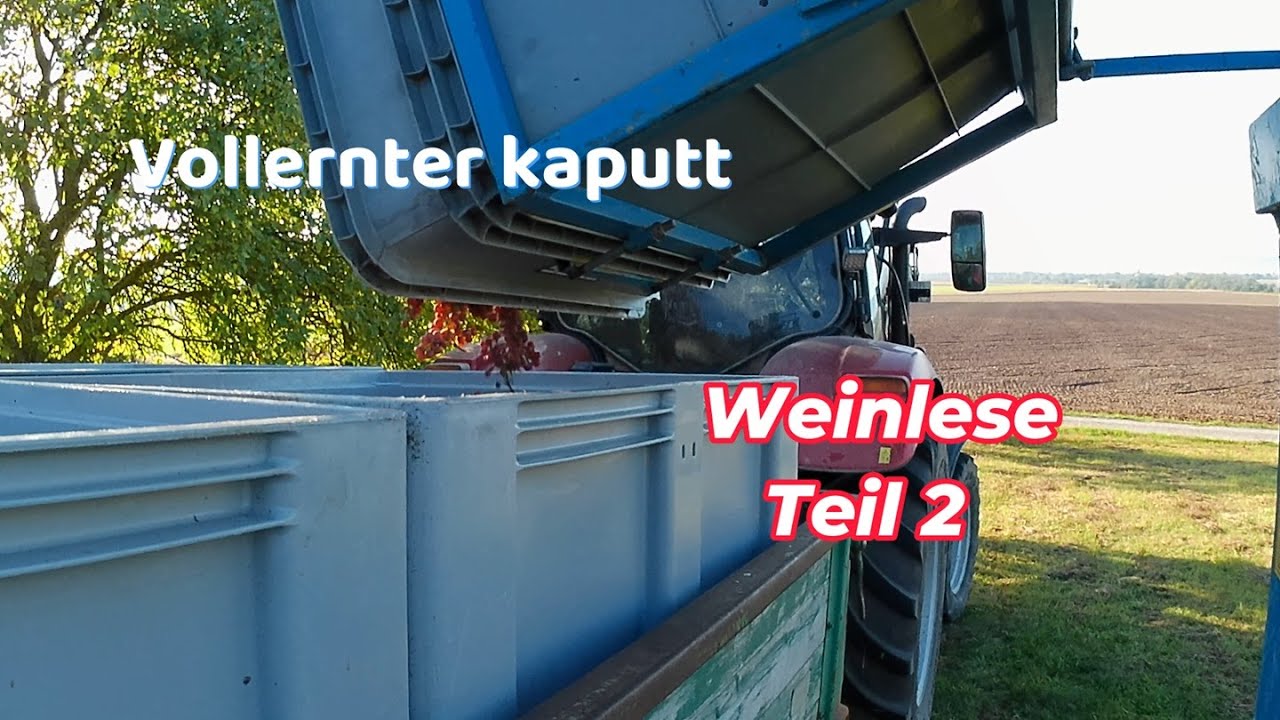 BioFarmVlog#56 Weinlese 2025 Teil 2, So ein Sch.. Tag! Manchmal muss es raus!