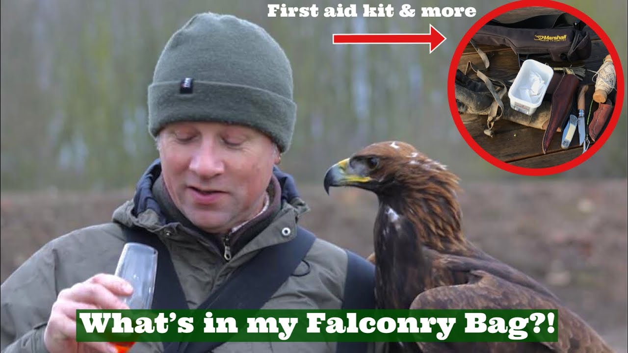 WHAT’S IN MY FALCONRY BAG?! First Aid Kit Contents For Birds of Prey!