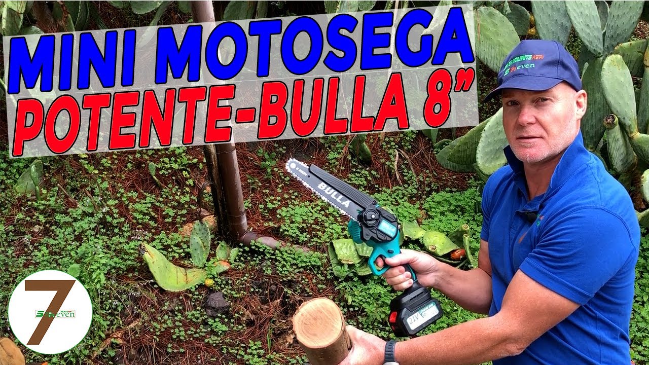 Potente mini Motosega a Batterie Bulla TD6 8