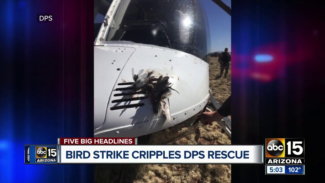 Bird strike causes significant damage to DPS helicopter