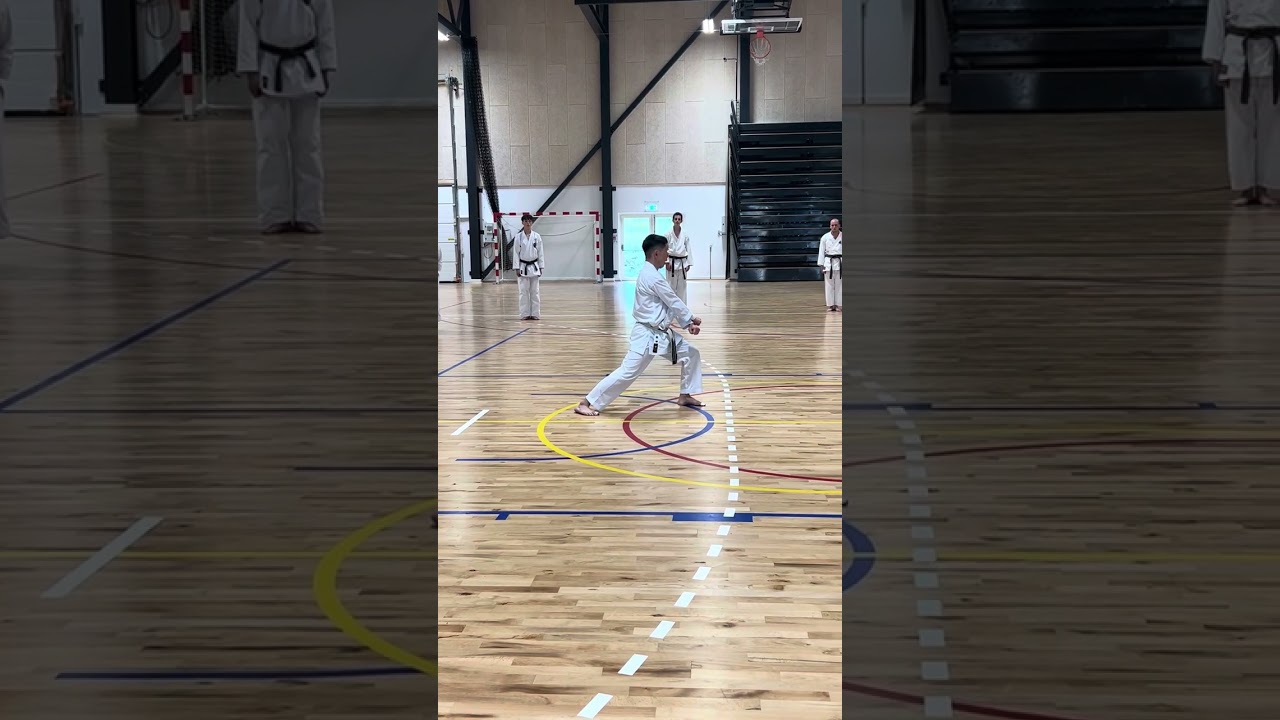 Kata kakuyoko shodan demonstrated and explained by Makita-sensei #karate #kakuyokoshodan #kotenkata