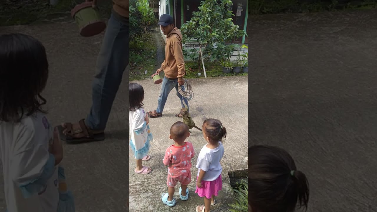 Maul nonton Topeng monyet