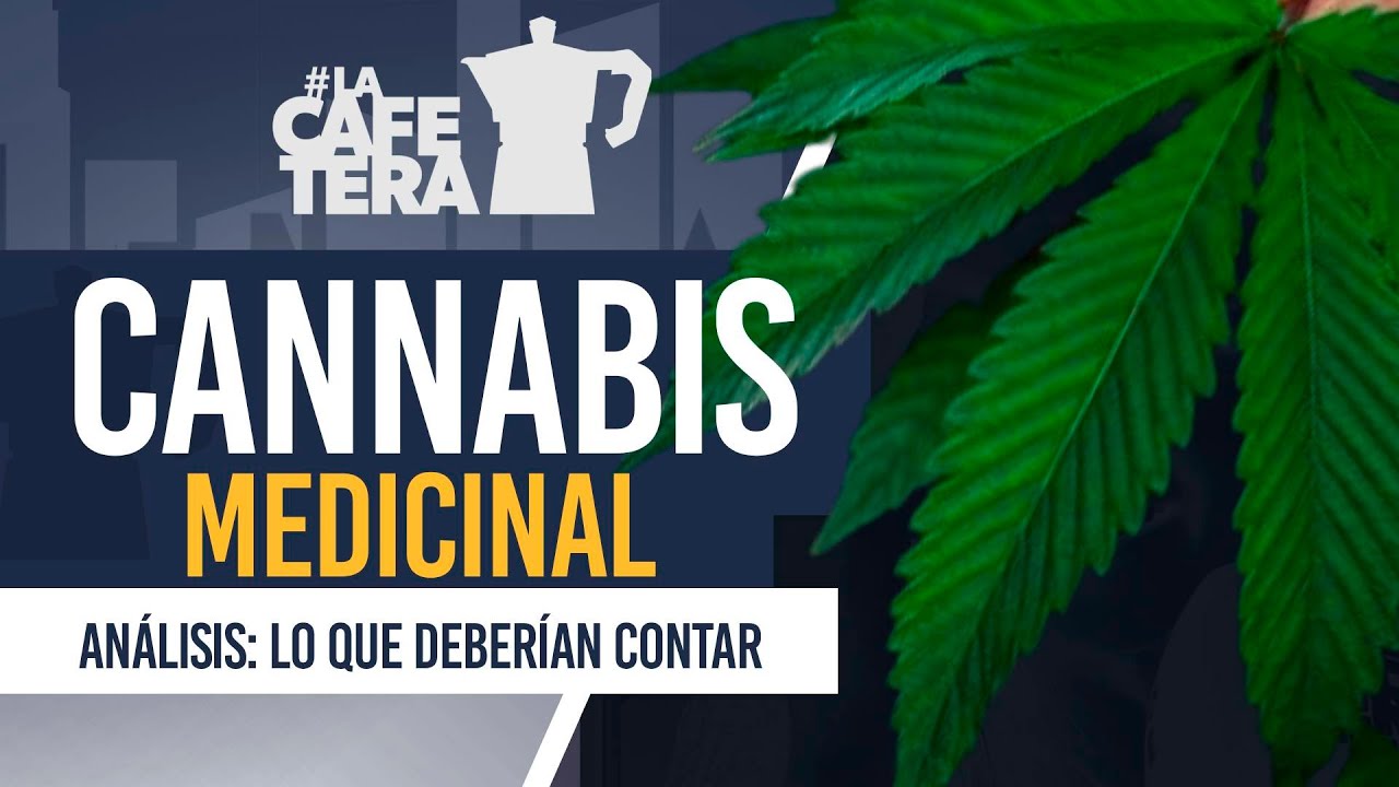 AN&Aacute;LISIS: Espa&ntilde;a aprueba la marihuana como medicina