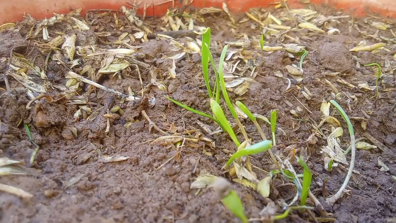 تجارة ليل  شنو داز عليها طريق الفسا*اادصعيبة  سمع وخود العبرة سمع قصتي 