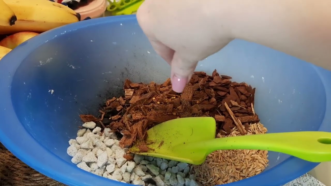 /Интересный грунт для цветов/Опоры для хой/Покупки для растений / 🪴💕