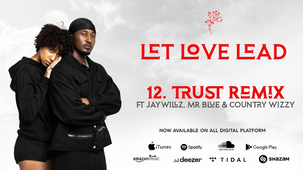 Dj Seven Worldwide x  Jaywillz, Mr Blue & Country Wizzy - Trust Remix (Official Lyric Video) #12