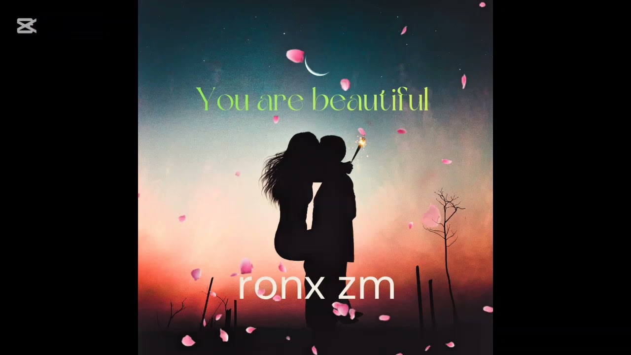 RONX ZM you are beautiful official video mp4
