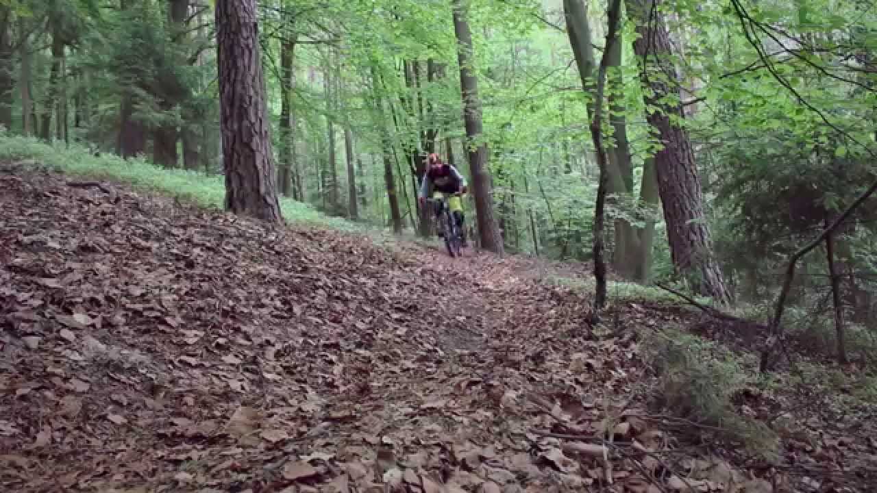 Local Spot Shreddern