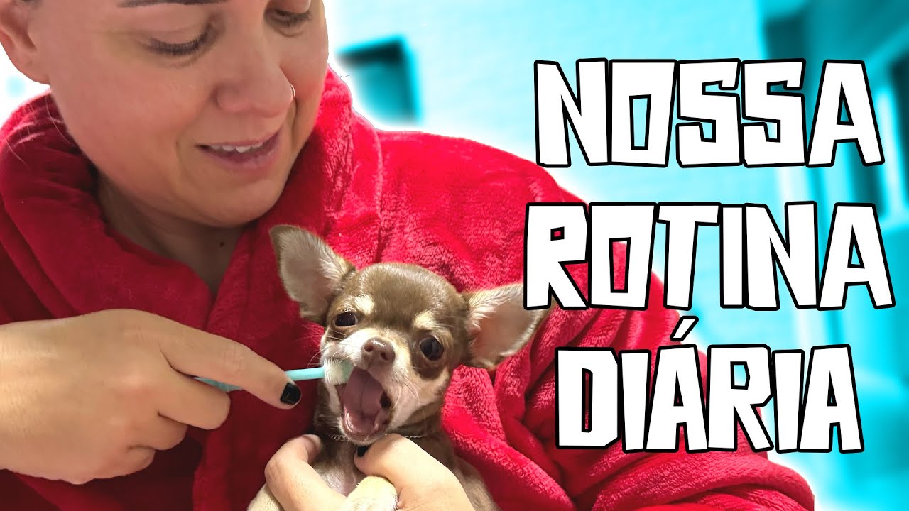 NOSSA ROTINA DI&Aacute;RIA COM UMA FILHOTE E MAIS 3 CACHORROS!