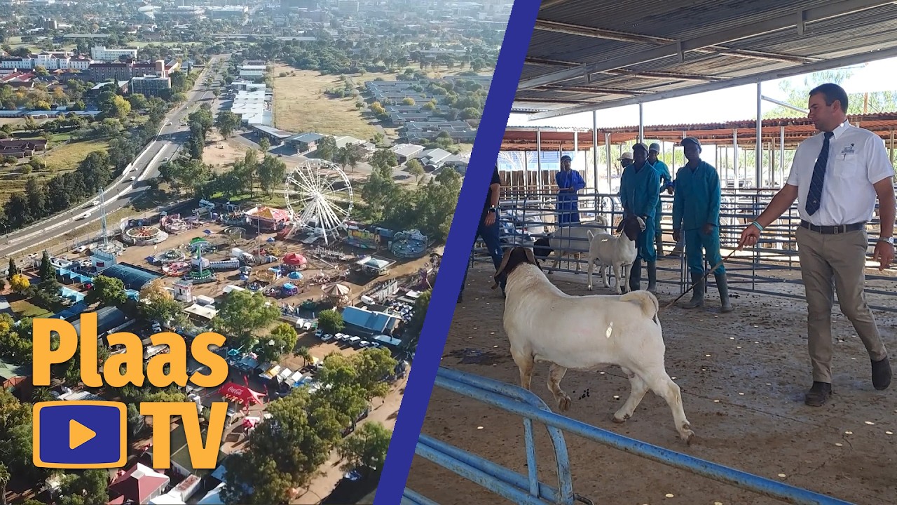 Slenkdalkoors kan aborsiestorms veroorsaak