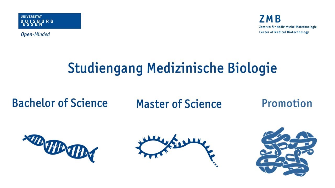 Kurz vorgestellt: Der Studiengang "Medizinische Biologie" an der Universität Duisburg-Essen