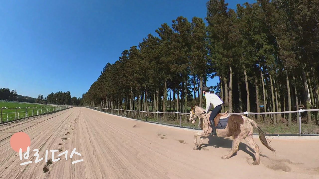 브리더스파크 | ✅ 오름 초지 주로 👉🏻 모든게 가능한 곳