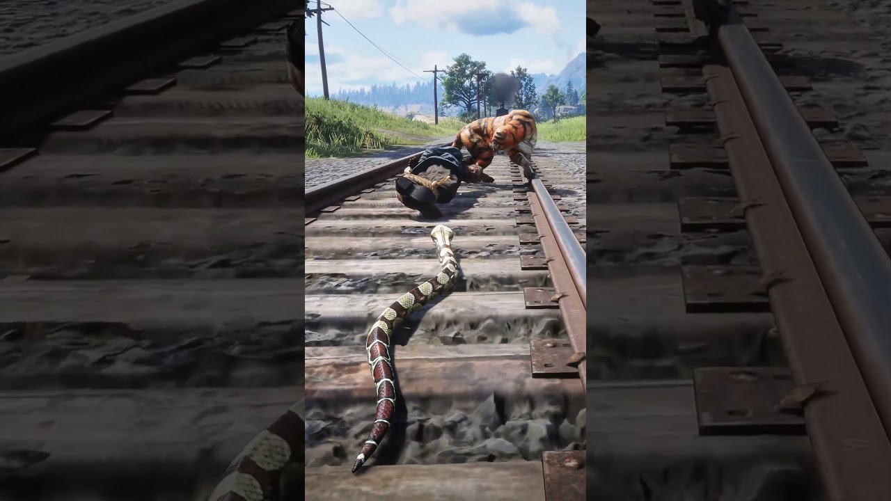 Tiger Circles Man on Railway - Snake Kills Tiger as Train Approaches!  RDR2 #shorts