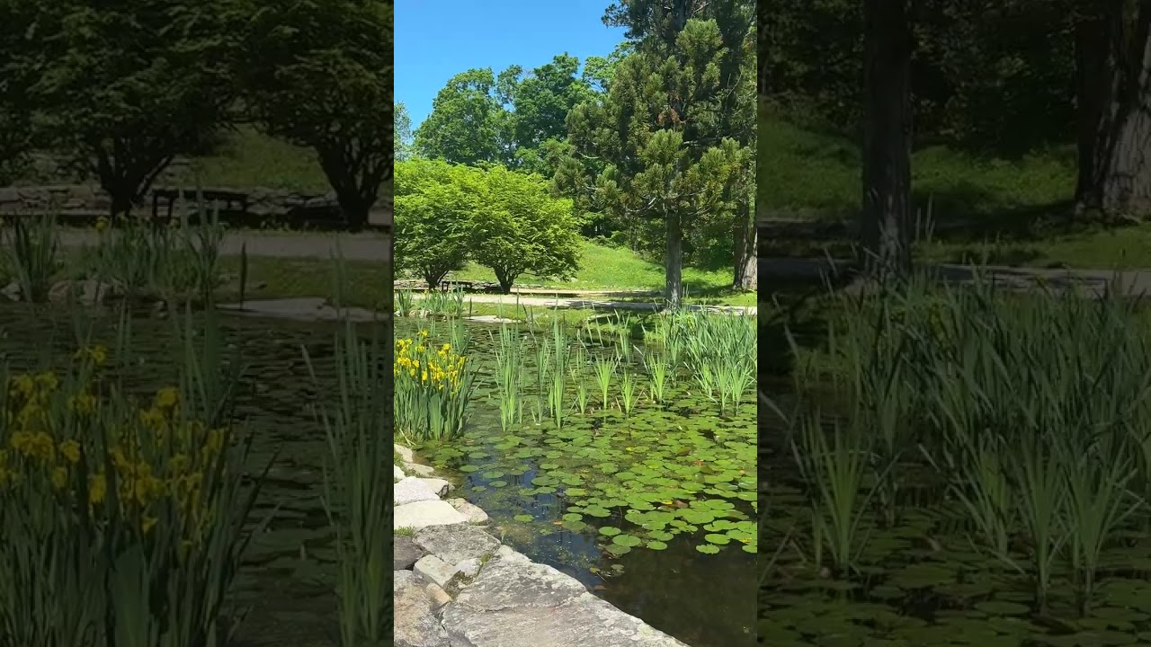 Hammond Museum & Japanese Stroll Garden in North Salem, New York
