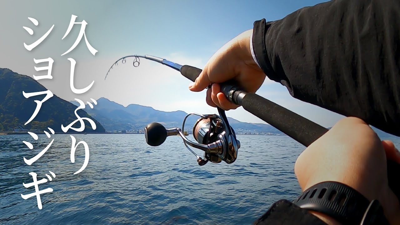 21コルトスナイパーBB S100M-3（3本継）ショアジギングを久しぶりにしたら美味しい魚が釣れました！【ショアジギング】