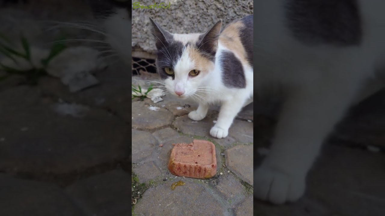 She is NOT into sharing and she makes it obvious 😅