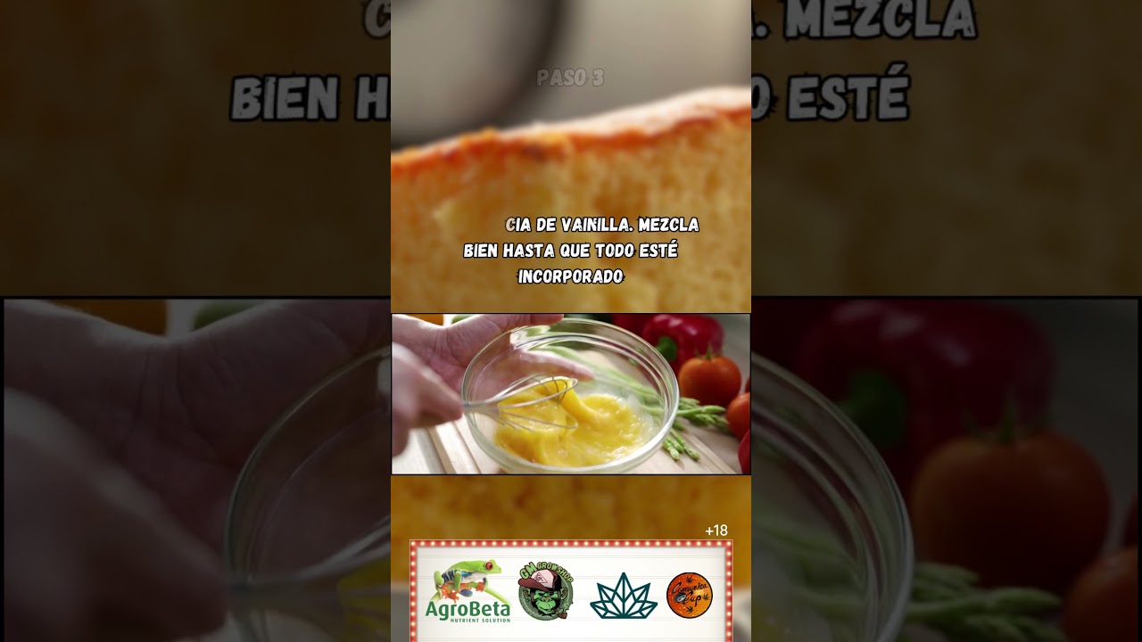 BIZCOCHO CASERO CON UN TOQUE M&Aacute;GICO*