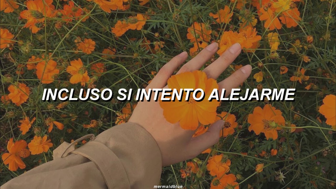 Davichi - Forgetting You ; Moon Lovers : Scarlet Heart Ryeo OST (Sub Español)