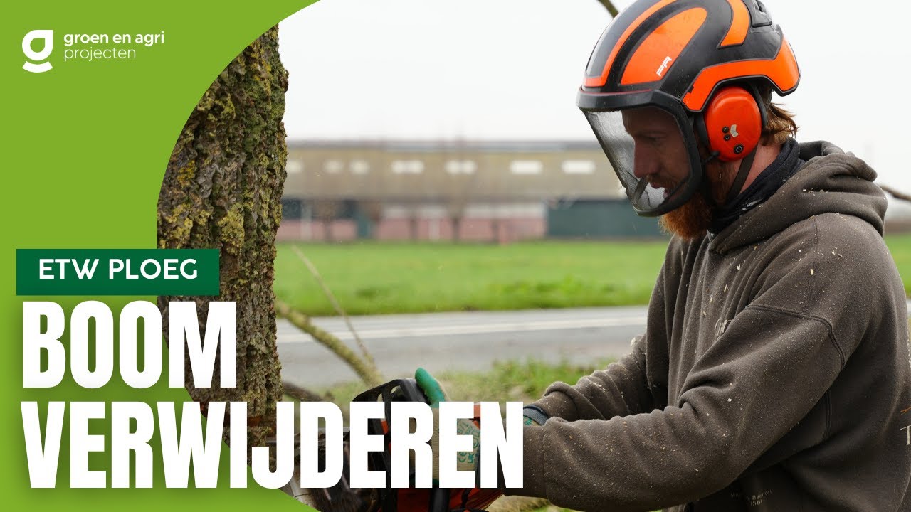 Grauwe abeel verwijderen in Nieuw-Lekkerland | ETW Ploeg | Groen en Agri projecten