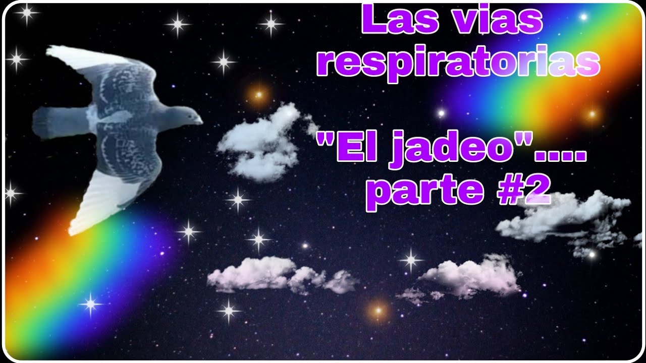 Las vias respiratorias, El jadeo parte #2