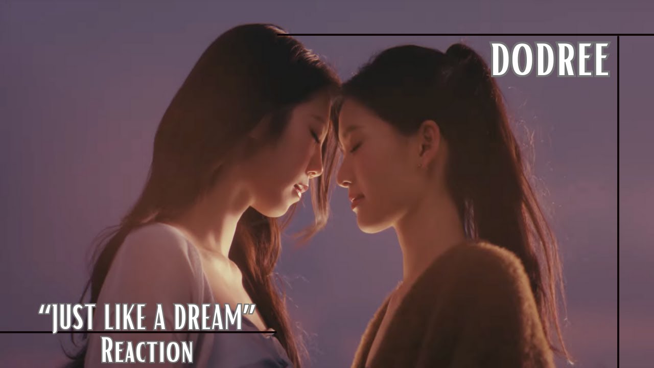 Reaction | dodree (도드리) 