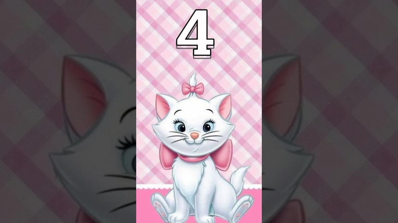 ~Dance se souber 2023~