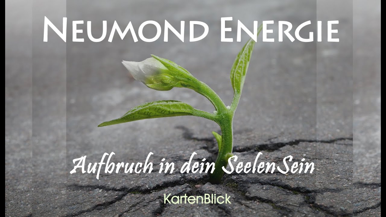 🌑 Neumond Energie "Aufbruch in dein SeelenSEIN"~ Neumond Orakel Sept/Okt19