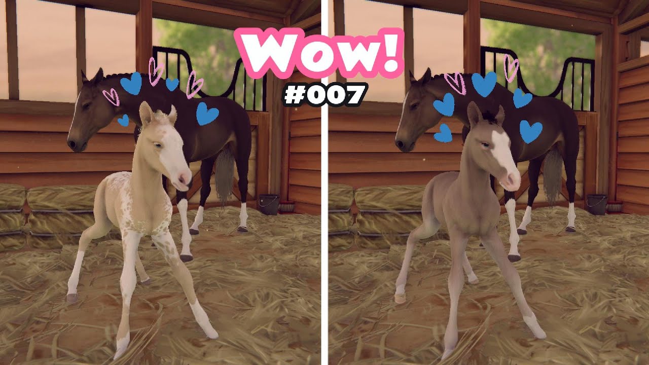 Diese Fohlen sind so atemberaubend!😍 | Rival Stars Horse Racing | Folge 7