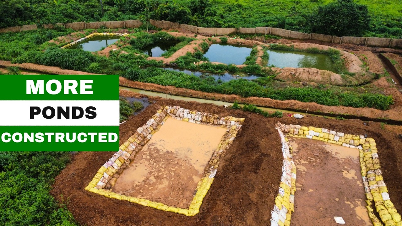 Constructing More Earthen Ponds For Fish Farming