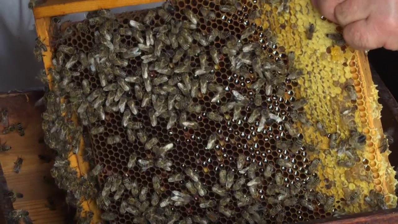 allgäu.tv spezial - 30. Mai 2018