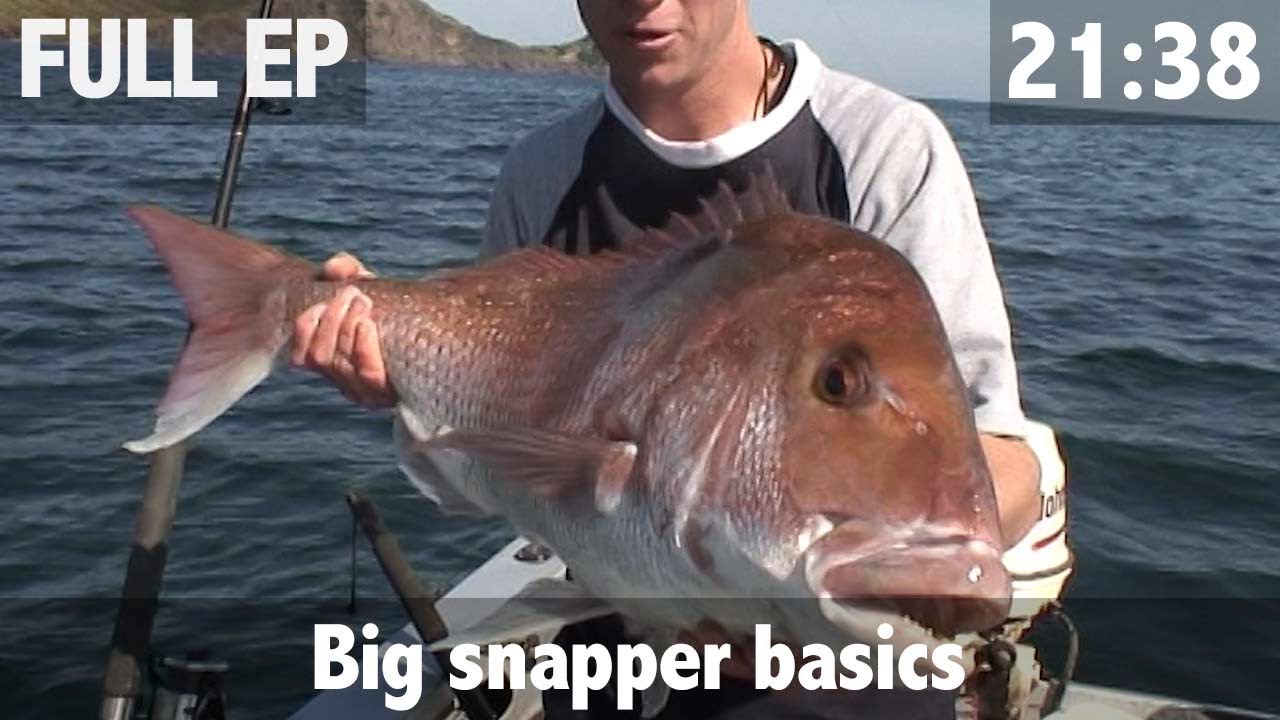 Matt Watson's Big Snapper Basics