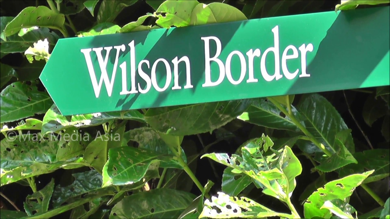 Spring Scenes Ernest Chinese Wilson Trail Walk at Birmingham Botanical Gardens